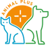 title_icon title_icon